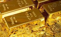 Cash in on the New Gold Rush